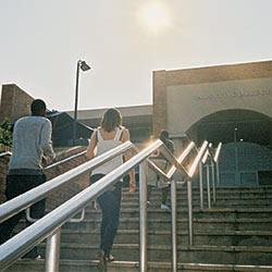 Reshape The Mould With A Business Management Course