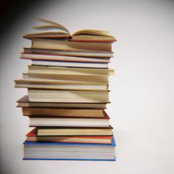 Sharp Rise In Business Degree Applications At Private Higher Educuation Institutions