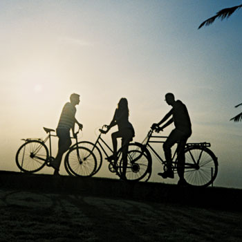 What Can I Do With A Business Administration Courses (1)